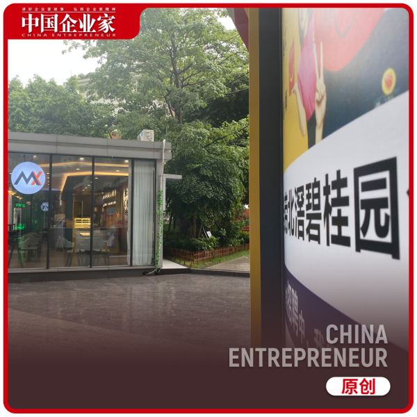 股票实盘 碧桂园穿越风暴｜封面故事